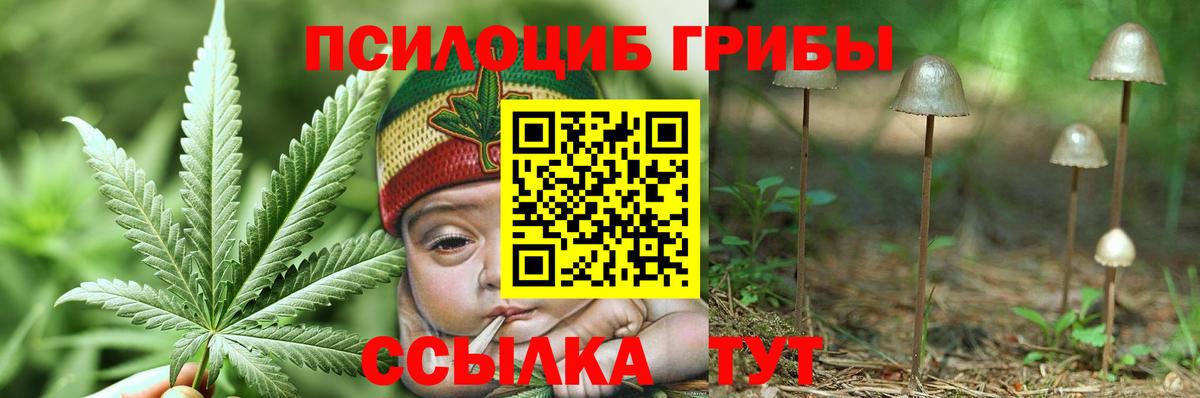 Галлюциногенные грибы MAGIC MUSHROOMS Ивантеевка